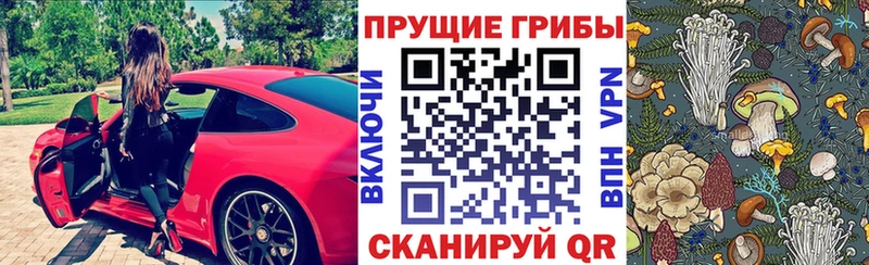 Псилоцибиновые грибы GOLDEN TEACHER  наркотики  Аксай 